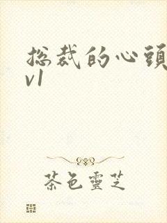 总裁的心头宝1v1