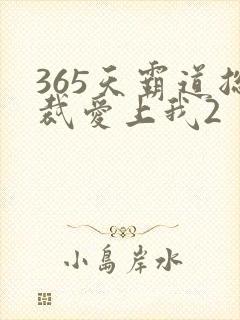 365天霸道总裁爱上我2