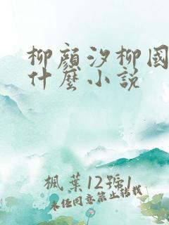 柳颜汐柳国安是什么小说