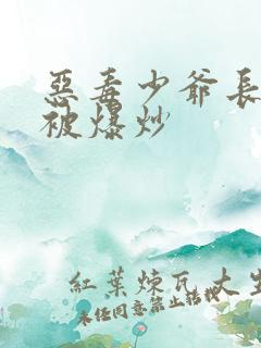 恶毒少爷长大后被爆炒