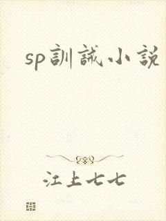 sp训诫小说