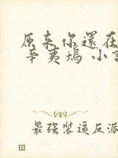 原来你还在这里 辛夷坞 小说