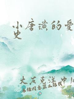 小唐璜的爱情历史