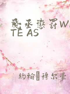 飞丞惩罚WRITE AS