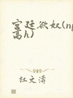 宫廷欲奴(np高h)