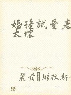 婚后试爱老公别太坏