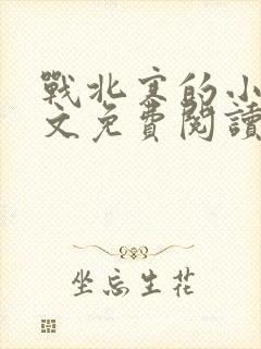 战北寒的小说全文免费阅读无弹窗