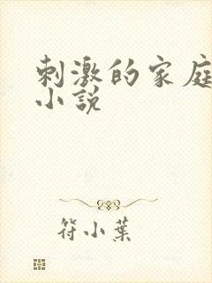 刺激的家庭乱仑小说