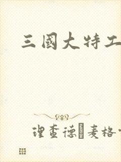 三国大特工