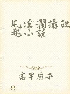 风沧澜摄政王穿越小说