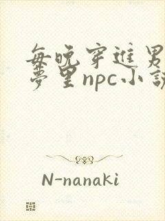 每晚穿进男神的梦里npc小说