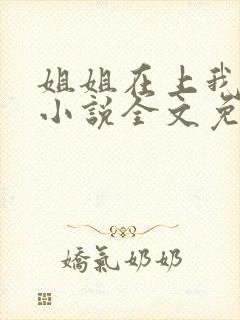 姐姐在上我在下小说全文免费阅读