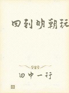 回到明朝玩网游