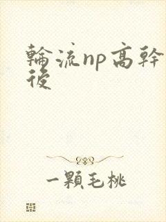 轮流np高干前后