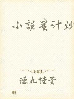 小说蜜汁炒鱿鱼