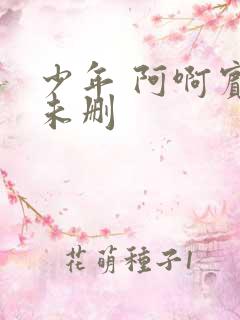 少年 阿啊宾文未删