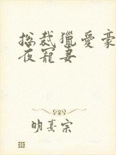 总裁猎爱豪门一夜宠妻