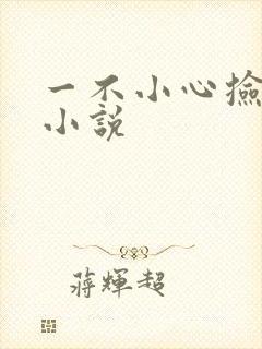 一不小心捡到爱小说