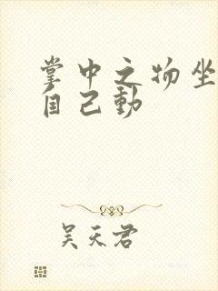 掌中之物坐上来自己动