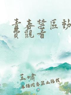 青春禁区动漫免费观看