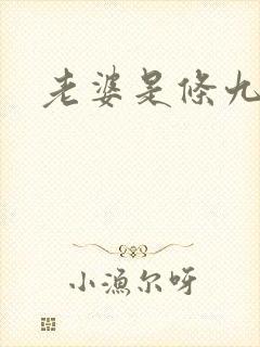 老婆是条九尾狐