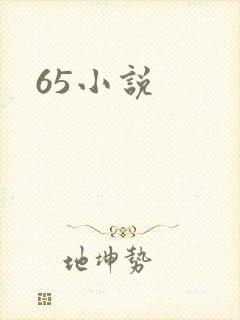 65小说