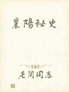 襄阳秘史