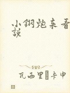 小钢炮来看我小说