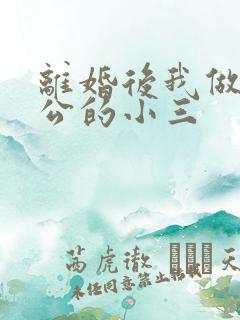 离婚后我做了老公的小三