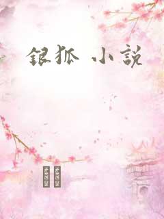 银狐 小说