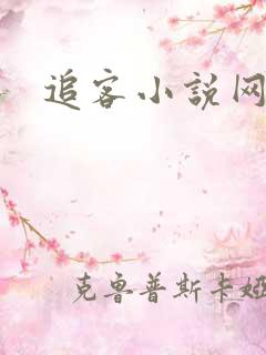 追客小说网