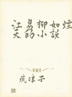 江易柳如烟秦少天的小说