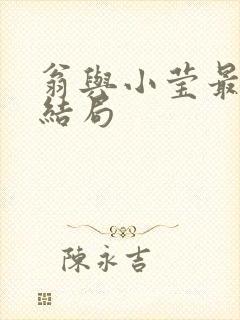 翁与小莹最新大结局