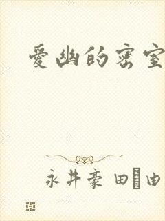 爱幽的密室小说