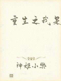 重生之我是战机