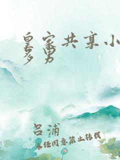 皇家共享小公主多男