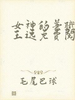 女神的兼职司机王逸免费阅读