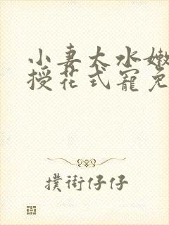 小妻太水嫩陆教授花式宠免费阅读 小说