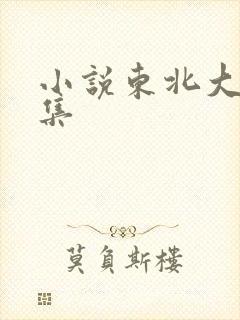 小说东北大炕全集