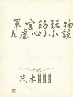 军官的玩物(高h虐心)小说