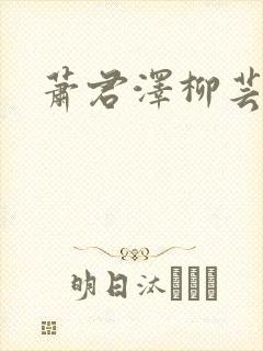 萧君泽柳芸小说