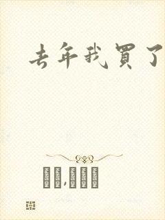 去年我买了个表