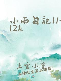 小雨日记11-12h