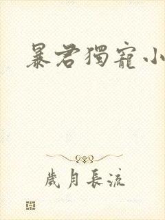 暴君独宠小俏后