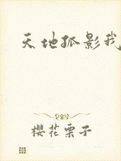 天地孤影我独行