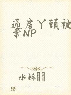 通房丫头被肉日常NP