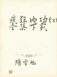 疯狂内功txt全集下载
