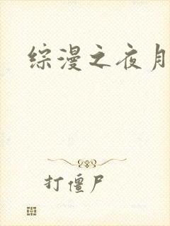 综漫之夜月