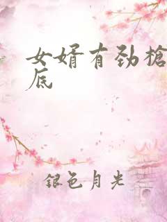 女婿有劲枪枪到底