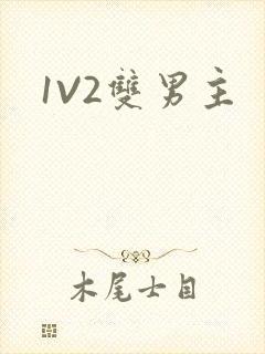 1V2双男主